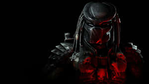 Predator Predator Hd Wallpaper Wallpaper