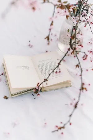 Preppy Aesthetic Cherry Blossom Book Wallpaper