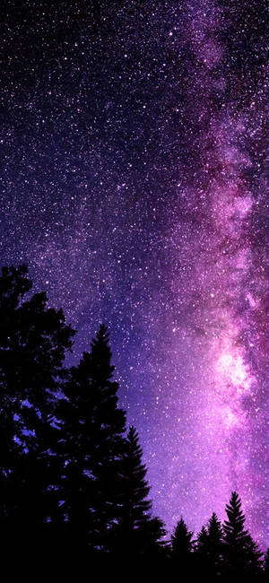 Pretty Galaxy Tree Tops Wallpaper