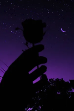 Pretty Purple Silhouette Of A Rose Wallpaper