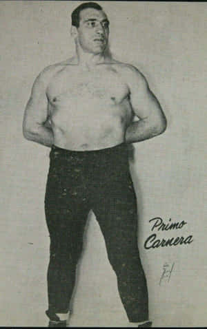 Primo Carnera Homogenized Bond Bread Vintage Card Wallpaper