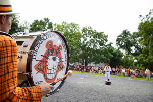 Princeton University Tiger Band Wallpaper