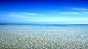 Pristine Ocean View Wallpaper