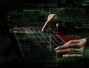 Programmer Typing On Laptop Hacker 4k Wallpaper