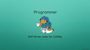 Programmers Try Everything To Get Their Project Finished! Wallpaper