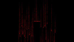 Programming Code The Matrix Wallpaper