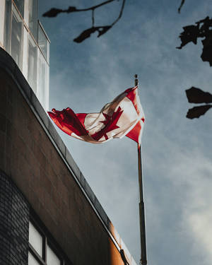 Proudly Flying The Canadian Flag Wallpaper