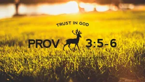 Proverbs 3:5-6 Bible Verse Laptop Wallpaper