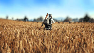 Pubg Full Screen Wheat Field Wallpaper