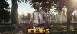 Pubg Hd Helmet Character In Woods Wallpaper