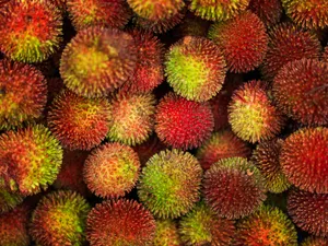 Pulasan Fruits Harvested Wallpaper