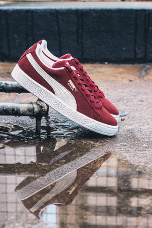 Puma Velvet Suede Wallpaper