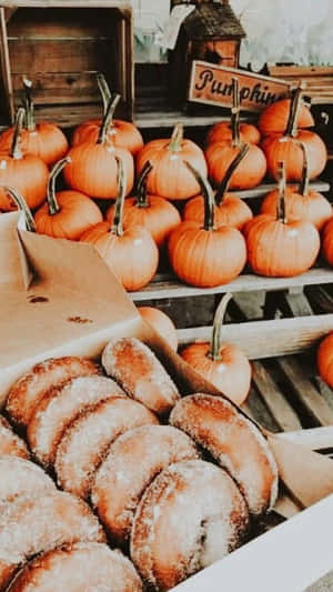 Pumpkins And Donuts Autumn Pfp Ideas Wallpaper