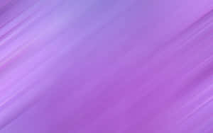 Pure And Solid, Light Purple Colouring Wallpaper