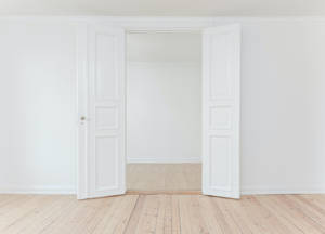 Pure White Classic Double Door Wallpaper