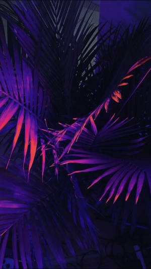 Purple Aesthetic Phone Palm Tree Leaves Wallpaper