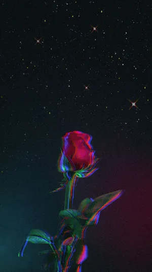 Purple Aesthetic Phone Rose Wallpaper