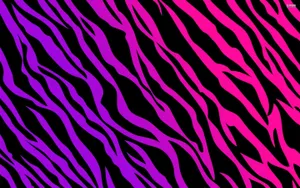 Purple And Pink Zebra Print Wallpaper