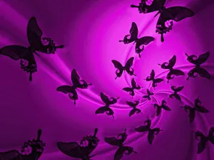 Purple Butterfly Silhouette Wallpaper