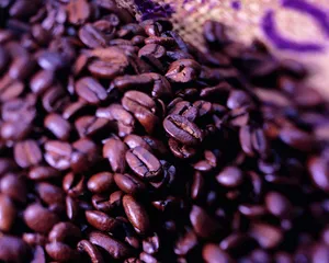 Purple Coffee Beans Wallpaper