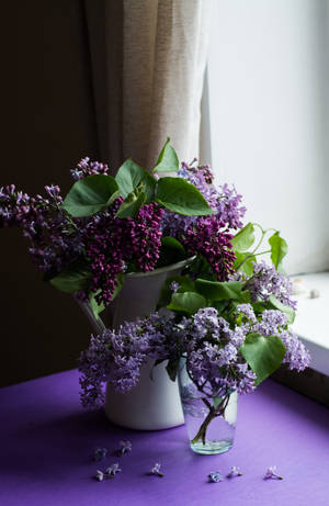 Purple Flowers Inside A Vase Iphone Wallpaper