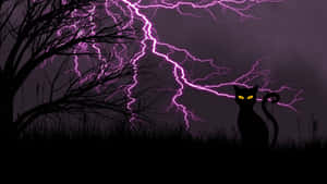 Purple Lightning With Black Cat Wallpaper