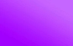 Purple Plain Color Wallpaper