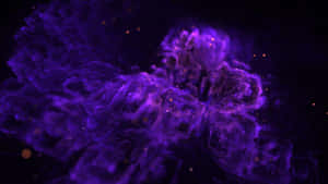 Purple Smoke Explosion Aesthetics Computer Wallpaper