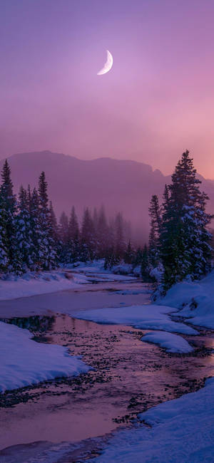 Purple Snowy Forest Crescent Moon Wallpaper