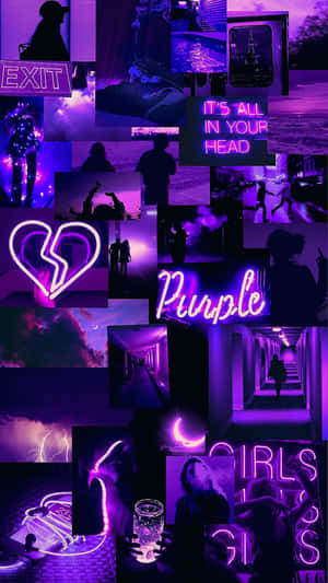 Purple Wallpapers, Purple Wallpapers, Purple Wallpapers, Purple Wallpapers, Purple Wallpapers, Purple Wallpapers, Purple Wallpapers, Purple Wallpapers, Wallpaper