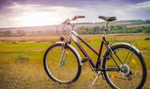 Purplish White Mountain Bike Wallpaper