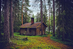 Quaint Cabin In The Woods Wallpaper