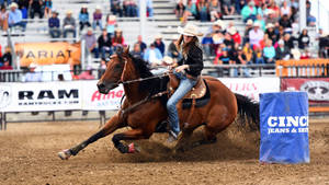 Quarter Horse In A Barrel Racing Turn Wallpaper