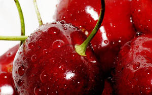 Queen Anne Cherries Wallpaper