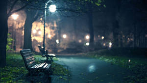 Quiet Park Bench Wallpaper