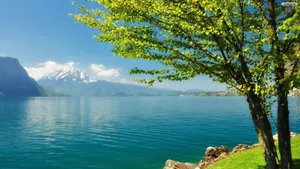 Quiet Spring Scenery Wallpaper