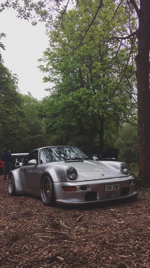 R W B Porschein Forest Setting Wallpaper