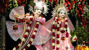 Radha Krishna 3d Pink Clothing Statues Wallpaper