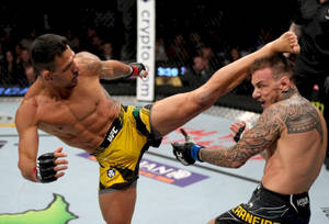 Rafael Dos Anjos High Kick Wallpaper