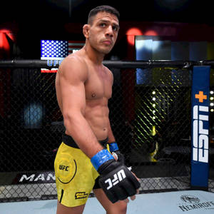 Rafael Dos Anjos Wearing Yellow Trunks Wallpaper