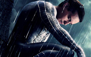 Rain Spider Man Tobey Wallpaper