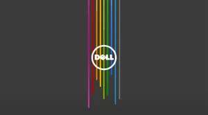 Rainbow Dell Hd Logo Wallpaper