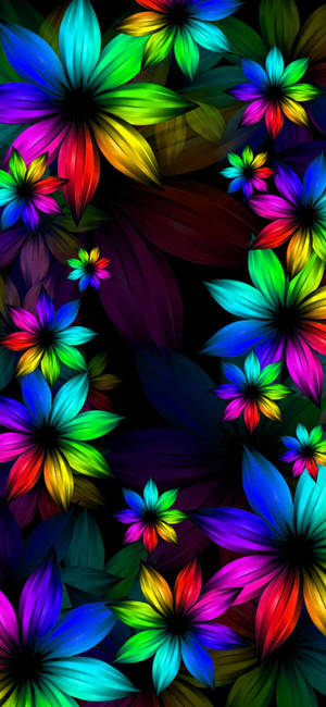 Rainbow Flower Iphone Wallpaper