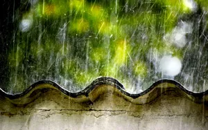 Rainy_ Day_ Tiled_ Roof_ Backdrop Wallpaper