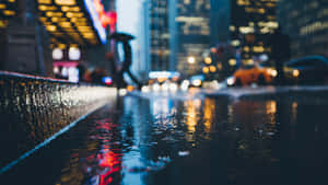 Rainy Street Shallow Photography Wallpaper