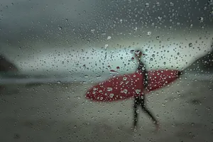 Rainy_ Window_with_ Red_ Leaf Wallpaper