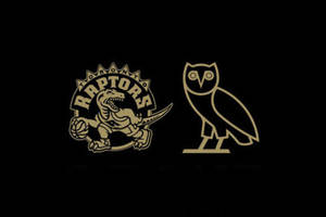 Raptorsand O V O Owl Logo Wallpaper