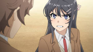 Rascal Does Not Dream Of Bunny Girl Senpai Angry Mai Wallpaper