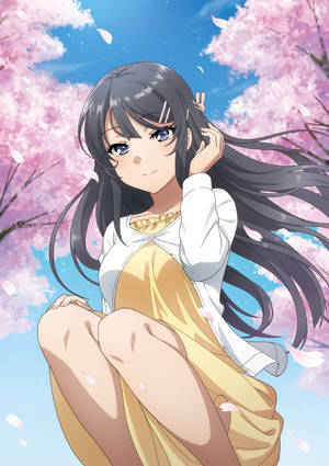 Rascal Does Not Dream Of Bunny Girl Senpai Cherry Blossom Wallpaper