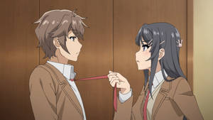 Rascal Does Not Dream Of Bunny Girl Senpai Cute Couple Wallpaper